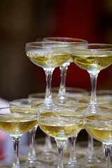 Crystal glasses for holiday, a lot of glasses for guests. Slide pyramid of glasses.