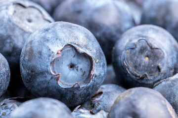 blueberries  with low calories, macro close up shot, single Blueberry in focus, matt and dull blue...