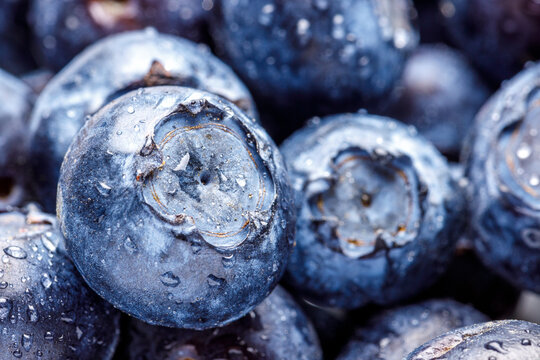 fresh blueberry fruit with water drops, macro close up shot, single Blueberry in focus, matt and dull blue surface, use this image as background or for food blogs or postcards