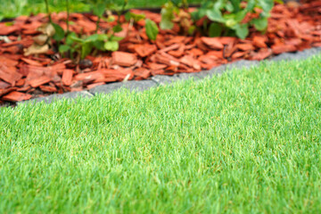 Gardening design with the artificial grass. Landscape design background.