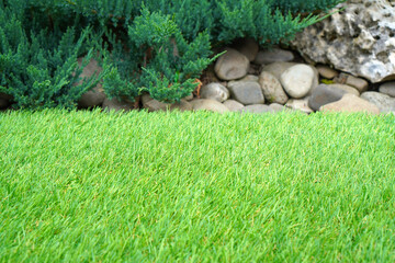 Yard greenering with the synthetic artificial turf