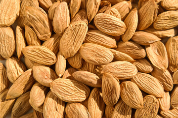 apricot kernels, solid background