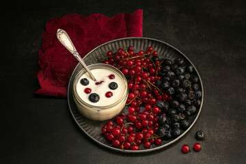 Gooseberry and Blueberry cottage cheese in a bowl