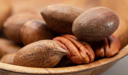 Pecan (Carya illinoinensis) is a species of hickory native to northern Mexico. The seed is an edible nut.