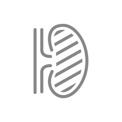 Sore human kidney line icon. Renal cysts, ureteral stones, infected organ symbol