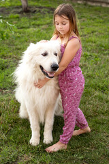 a sweet smiling girl of seven with her friend a Maremma dog on a green lawn