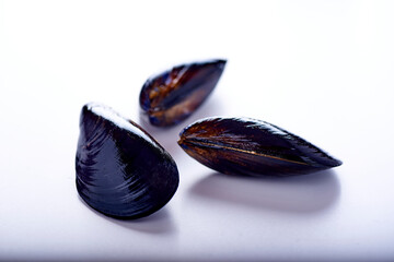 three fresh mussels on a white background with different views