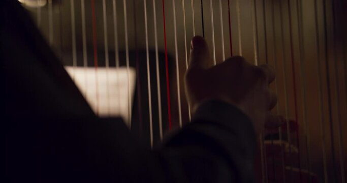 harp symphony orchestra