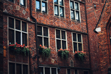 Fototapeta premium germany vibe