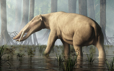 Ambelodon, the shovel tusker, is an extinct species  proboscidean, a cousin of modern elephants. Notable for its long lower jaw, it roamed the Earth 6 to 9 million years ago during the Miocene period