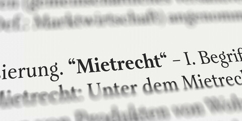 Mietrecht im Buch