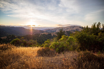 Sun set over distant fog bank casts golden glow over beautiful landscape in the Marin Headlands - obrazy, fototapety, plakaty