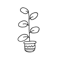 Houseplant doodle hand drawn  vector cute illustration. Vector outline sketch for greeting card, background, pattern, posters, stickers. Isolated on white background