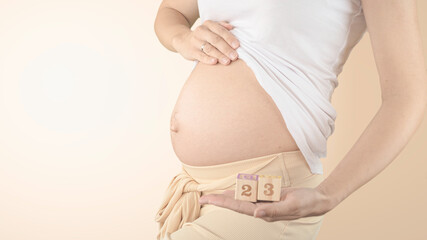 Pregnant young woman with pregnancy week number next to her belly. Photos of belly growth at 23...