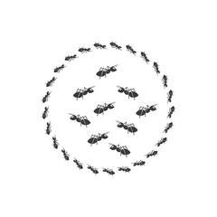Ant vector illustration design