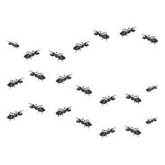 Ant vector illustration design