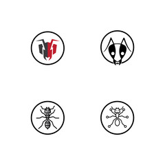 Ant vector illustration design