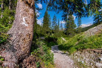 Fantastic hike in the Lechquellen Mountains in Vorarlberg Austria