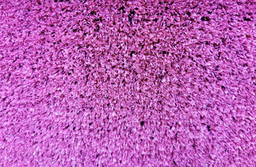 purple plastic flooring artificial imitation of grass for the background