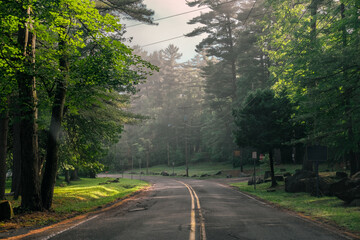 Foggy road in the Adirondack park