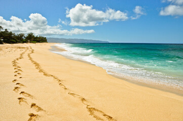 foot marks on Hawaiian beach