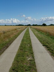 Asphaltweg durchs Feld