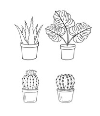 Vector set bundle of hand drawn doodle sketch monstera plant and cactus in pots isolated on white background