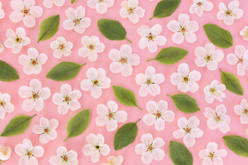 Spring blossom/springtime cherry bloom flower pattern background, pastel and soft pink floral card, toned	