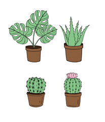Vector set bundle of different colored hand drawn doodle sketch monstera plant and cactus in pots isolated on white background