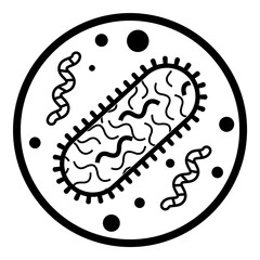 Bacterium