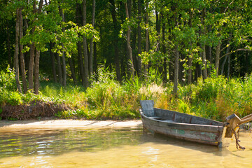 Fototapeta na wymiar Boat in the shade of trees on the lake on a sunny day