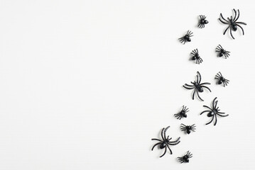 Halloween decorations concept. Spooky spiders on white background. Flat lay, top view, copy space.