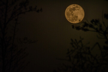 Fototapeta premium April waning gibbous moon