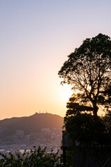 風頭公園から見る長崎市の夕暮れ　都市景観