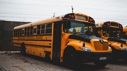 Naklejka na ściany i meble school bus