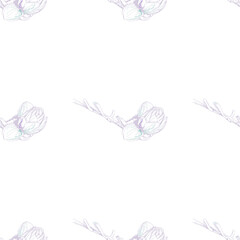 Flower Pastel.White Romantic Seamless Pattern.