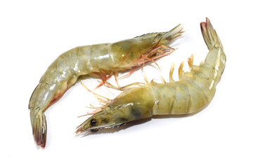 shrimp isolated on white background