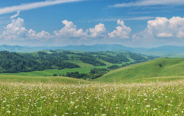 Fototapeta premium Rural landscape. Picturesque hills and valley, mountain view. Summer blooming meadow, beautiful sky.