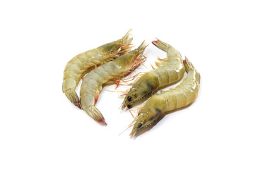fresh shrimp isolated on white background