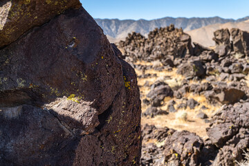 High Sierra Lava Rock & Desert dried grasses