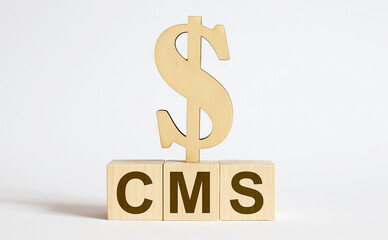 CMS (Content Management System) text on wooden blocks with wooden dollar