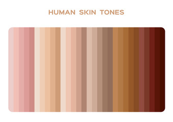 skin tone index color . infographic vector	