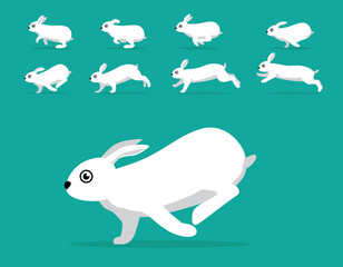 Animal Animation Sequence Rabbit Dwarf Hotot White Cartoon Vector