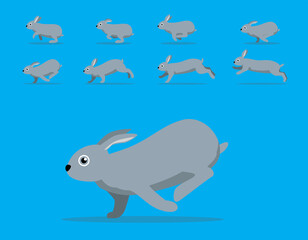 Animal Animation Sequence Rabbit Mini Rex Cartoon Vector