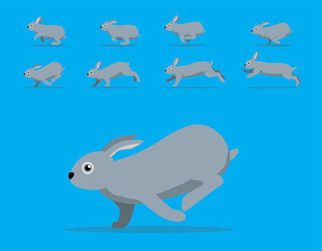 Mini Rex Graphics