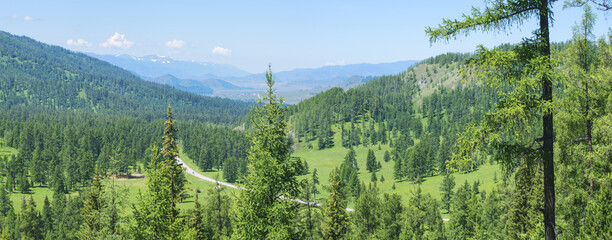 Picturesque valley, panoramic mountain view. Summer greens of forests and meadows.