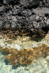 Kedrodasos beach private paradise blue lagoon free camping area rocky coast with crystal waters and corals covid-19 season prints