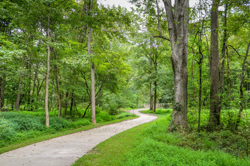 Paved greenway trail through the woods.