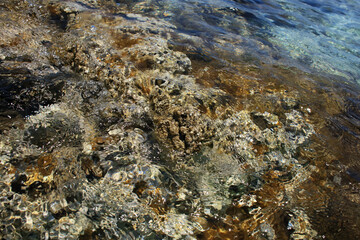 Kedrodasos beach private paradise blue lagoon free camping area rocky coast with crystal waters and corals covid-19 season prints