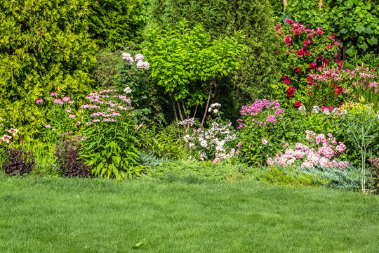 Landscaping of the backyard of a private house. Mowed lawn, decorative trees, flower beds.